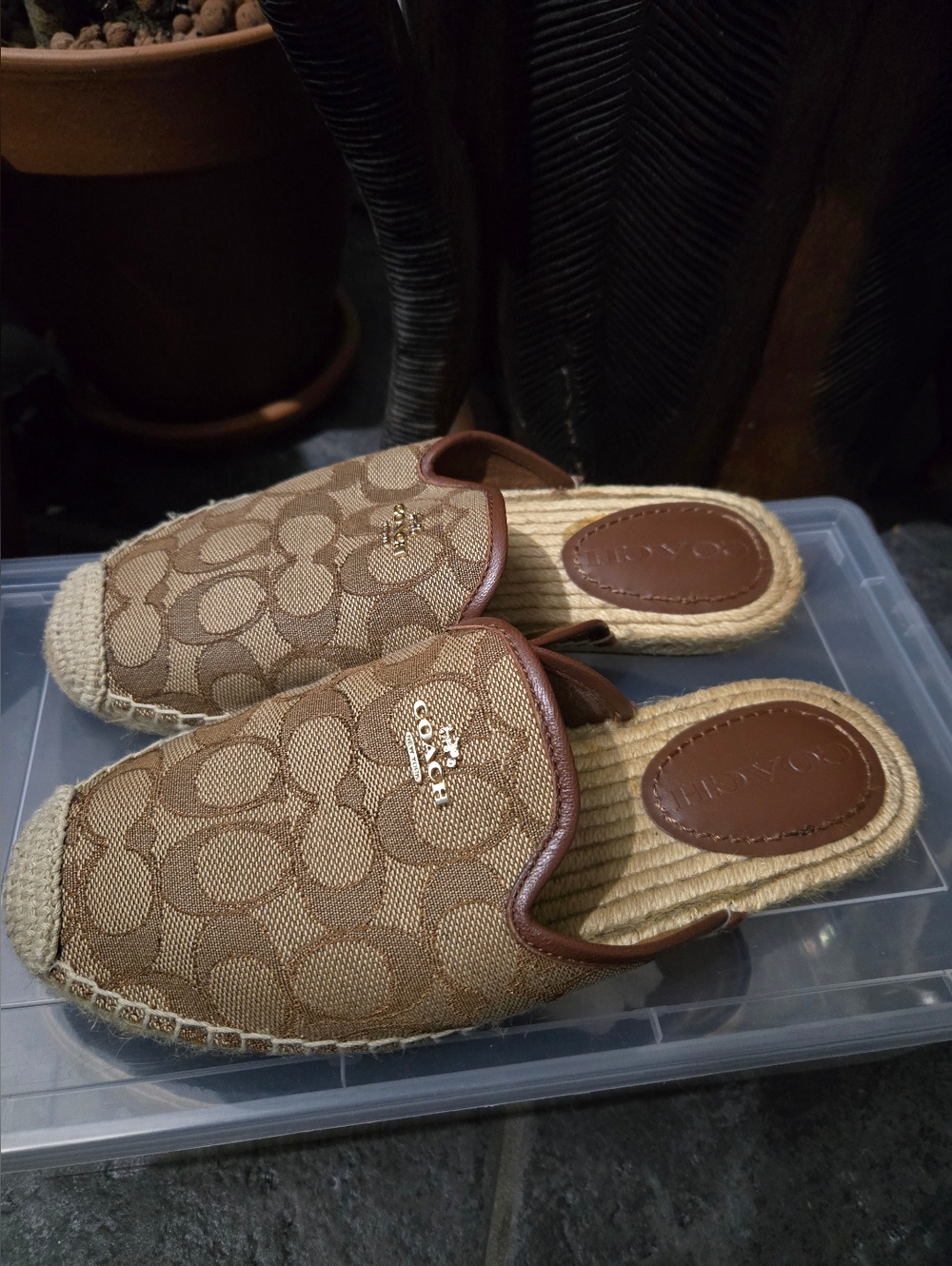 Coach Caley Signature Jacquard Espadrille Slide Mules